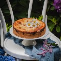 Rhabarberkuchen mit Mandel Rahm Guss - glutenfrei und laktosefrei